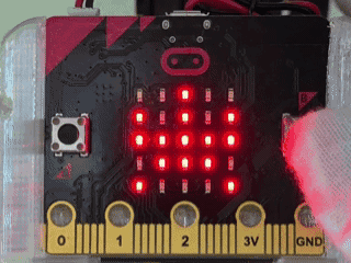 カブクワ昆虫標本をmicro:bitで動かしているようす